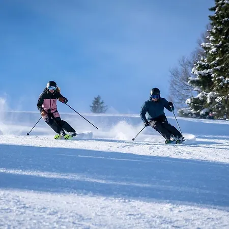 Apartamento Caroline - Gemuetliche Mit Pool, Sauna Und Hochschwarzwaldcard