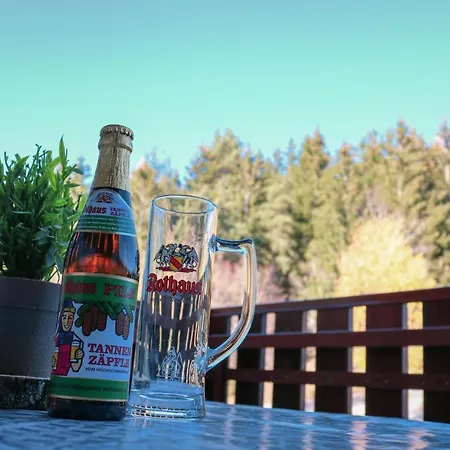 Caroline - Gemuetliche Mit Pool, Sauna Und Hochschwarzwaldcard