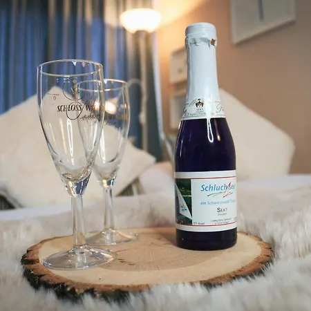 Caroline - Gemuetliche Mit Pool, Sauna Und Hochschwarzwaldcard