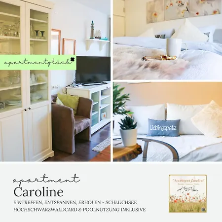 Caroline - Gemuetliche Mit Pool, Sauna Und Hochschwarzwaldcard * Schluchsee
