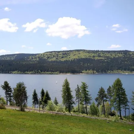Apartamento Caroline - Gemuetliche Mit Pool, Sauna Und Hochschwarzwaldcard